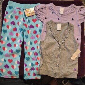 3pc Girls 3T Garanimals Mint Green Pants, Grey Cartagan And Purple Bird Shirt
